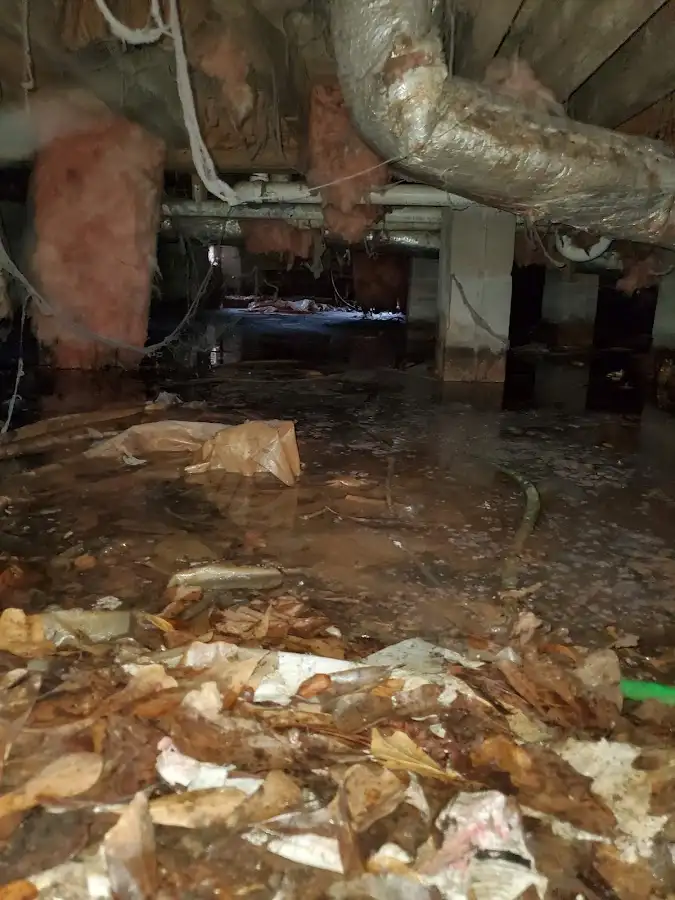 Crawl space flood assessment for Commercial Water Damage Restoration in St. John