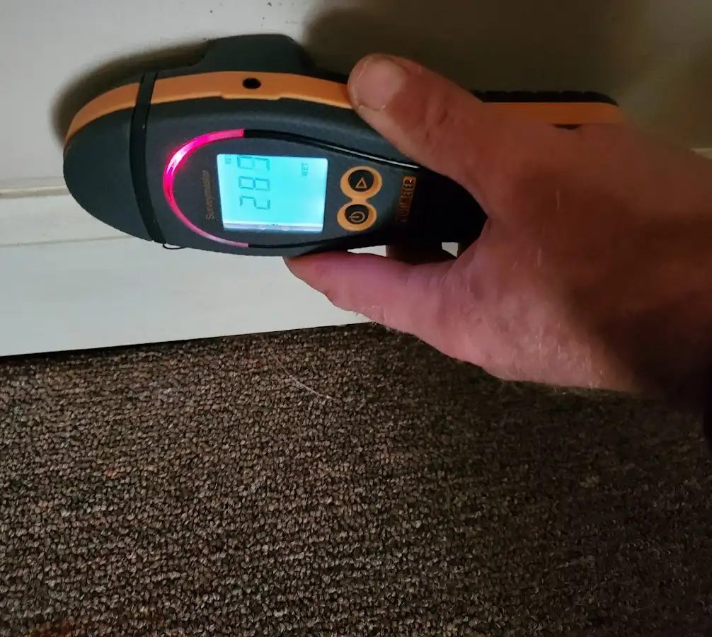 Moisture detection at baseboard during Mold Inspection & Testing in St. John